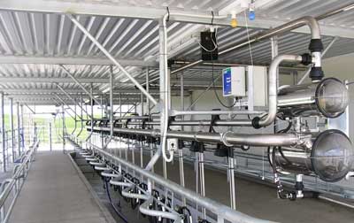 Milchkühler - ICE BANK - Waikato Milking Systems NZ Ltd. - Platten / für  Lager