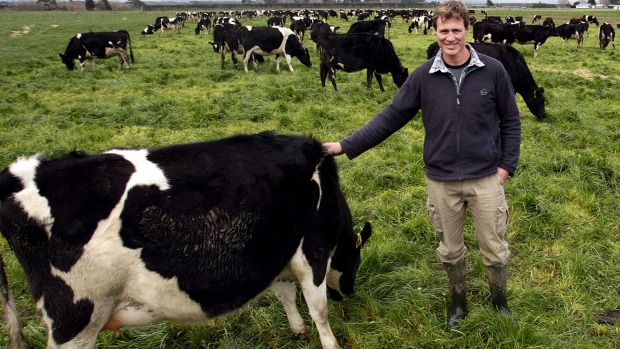 Manawatu/Rangitikei dairy chairman Mat Hocken says farmers will try to keep going.