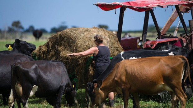 A Federated Farmers poll shows worrying levels of stress over mortgages.